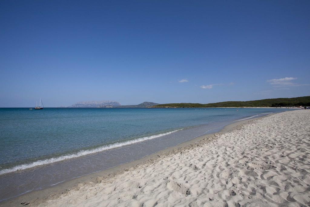 Sardegna E - Villa Relax&Design أولبيا المظهر الخارجي الصورة
